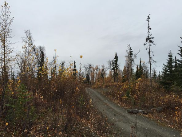 63885 Tailwind Rd, Ninilchik, AK 99639